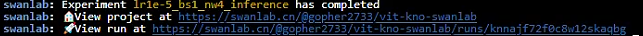 swanlab_terminal