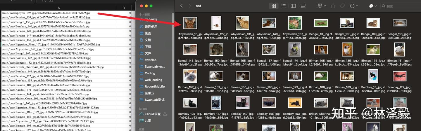 Left image as train.csv, right image as the image in the cat folder in the train folder